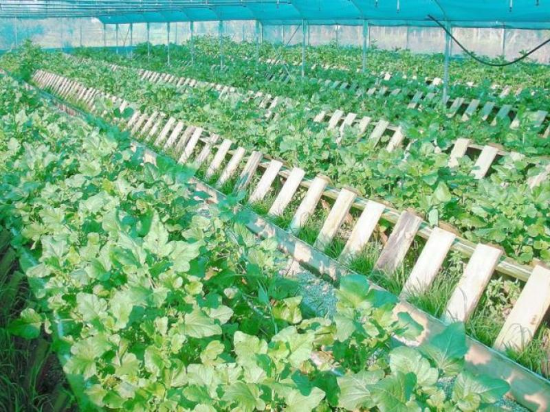 ΕΣΠΑ: Ενίσχυση 80 εκ. ευρώ για τις μικρές επιχειρήσεις ...