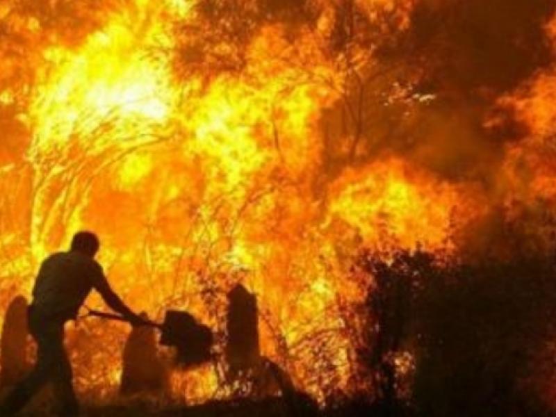 Πυρκαγιές καλοκαιριού: Στέγαση και μετεγγραφές για φοιτητές 26 Δήμων