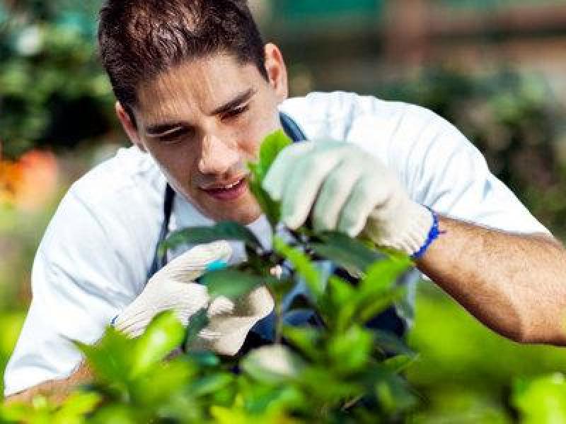 Επαγγελματικά δικαιώματα στους απόφοιτους των νέων Γεωπονικών Τμημάτων