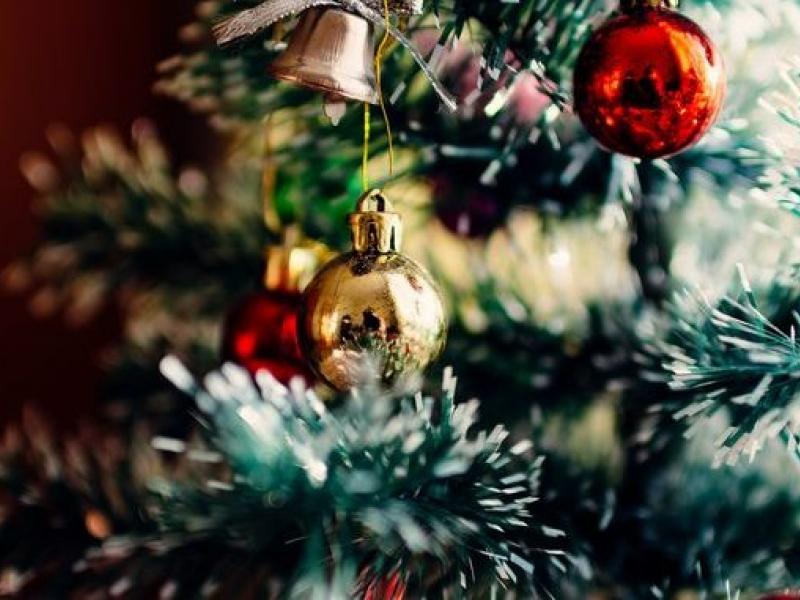Τέσσερα πράγματα που δεν γνωρίζετε για τα Χριστουγεννιάτικα δέντρα