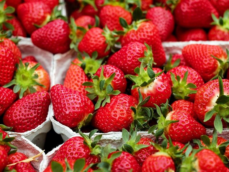 Πώς η κλιματική κρίση επισπεύδει την ωρίμανση των καλλιεργειών