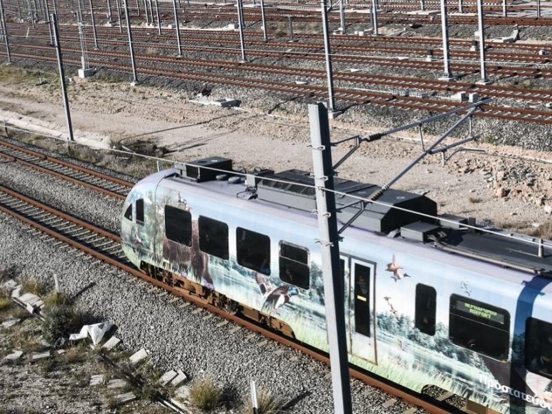 Μεγάλη ανησυχία για το σιδηροδρομικό δίκτυο: Καπνοί σε μηχανή τρένου στη Μαγούλα