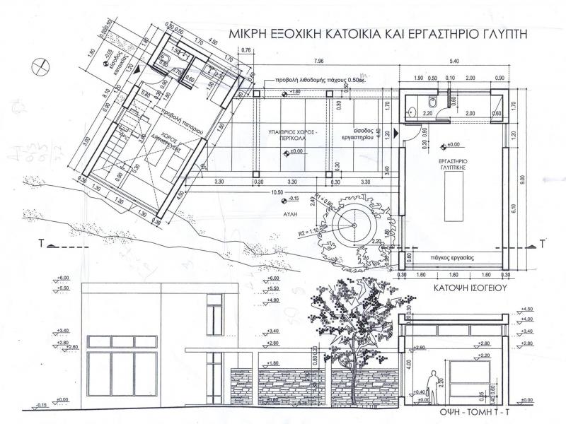 Πανελλήνιες, Ειδικά Μαθήματα: Τα θέματα στο γραμμικό σχέδιο