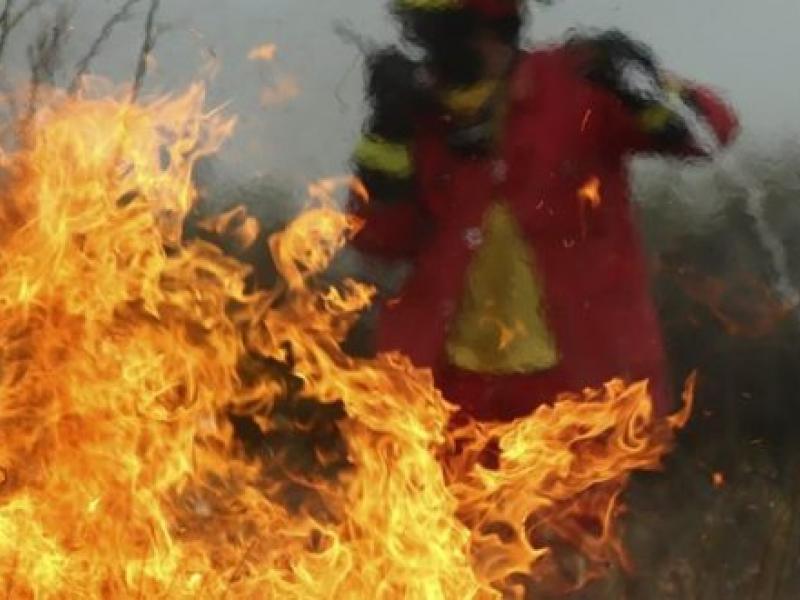 Τώρα: Μεγάλη φωτιά στην Ηλεία