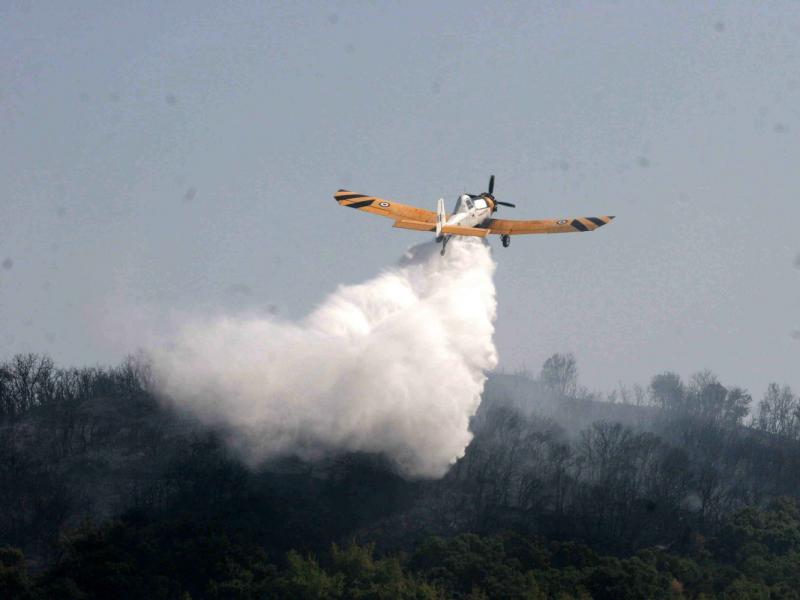 pzl