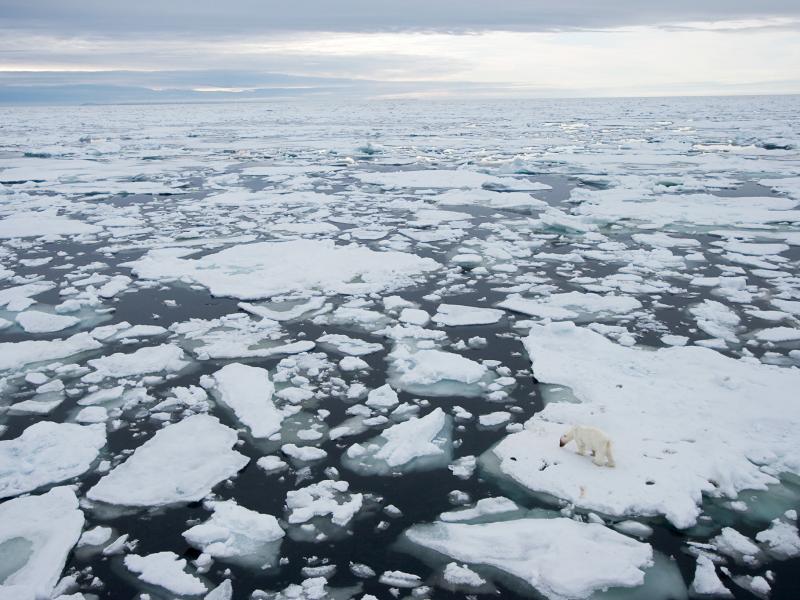 21 celsius north pole