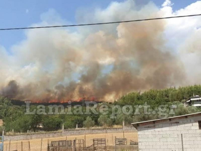 κεντρική