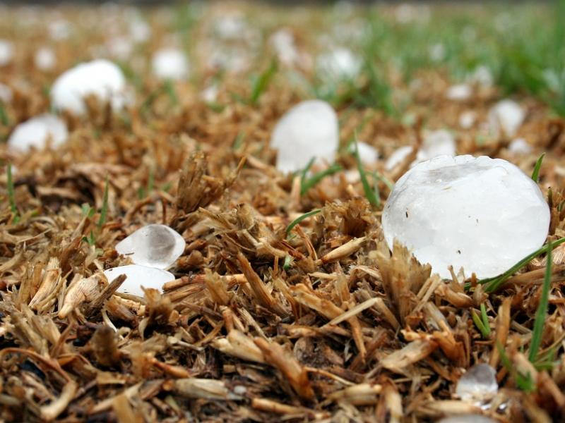 Δελτίο επικίνδυνων καιρικών φαινομένων εξέδωσε η ΕΜΥ