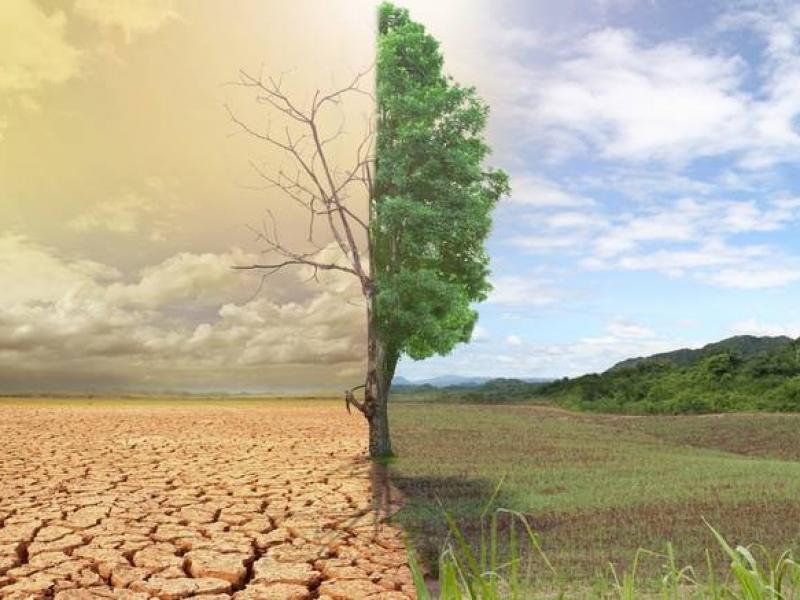 Πλημμύρες, πυρκαγιές και πανώλη- Η κλιματική αλλαγή αιτία για πολλά δεινά