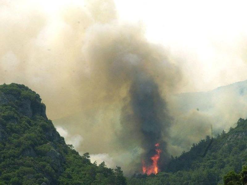 Σε ύφεση η πυρκαγιά στον Κιθαιρώνα