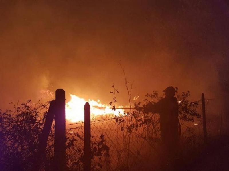 πυρκαγιά σε δασική έκταση στην Αγ. Παρασκευή στη Χαλκιδική
