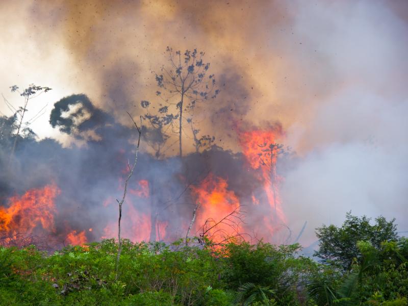 amazonia fire brazil