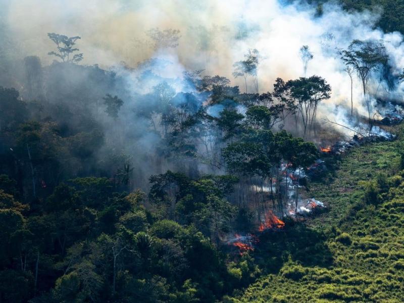 Ο Αμαζόνιος εκπέμπει SOS: Πάνω από το 1/3 έχει επηρεαστεί από την ανθρώπινη δραστηριότητα