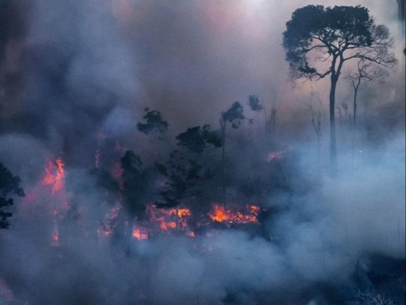 bolsonaro amazonia foties