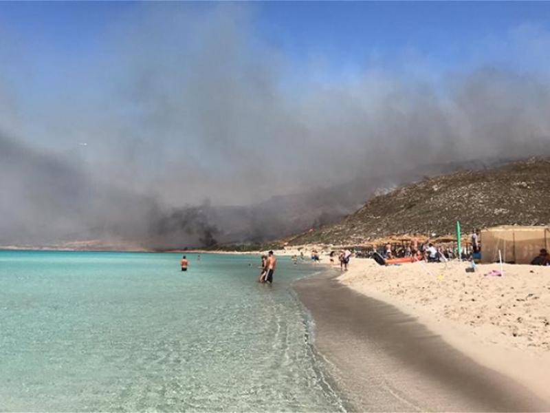 Η Ελαφόνησος θα ανακάμψει λένε οι ειδικοί
