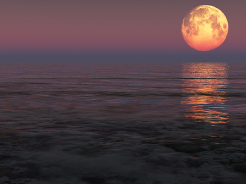 Τι μπορεί να λένε το φεγγάρι και η θάλασσα;