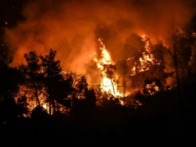 Πυρκαγιά στην Εύβοια