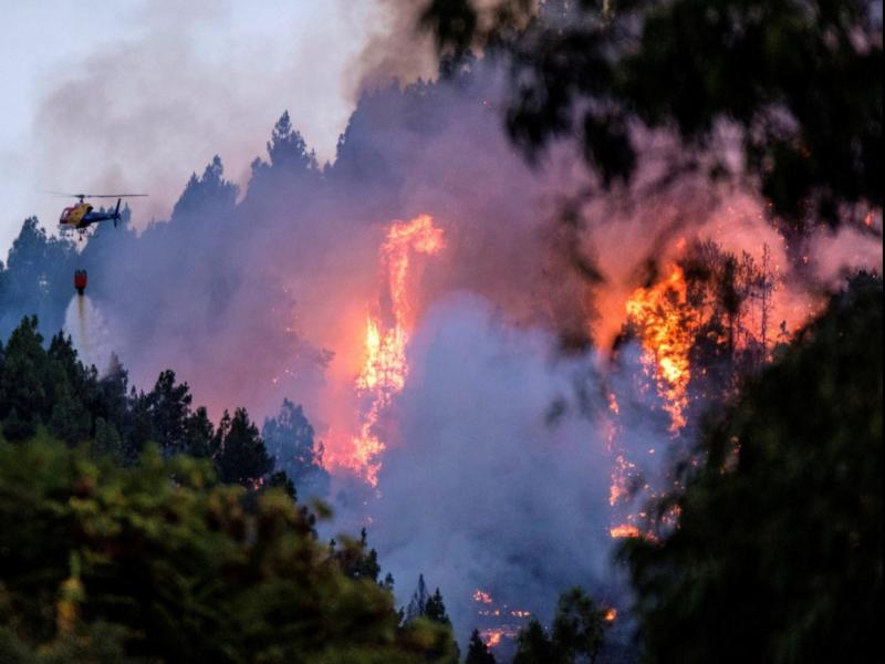 gran canaria fotia