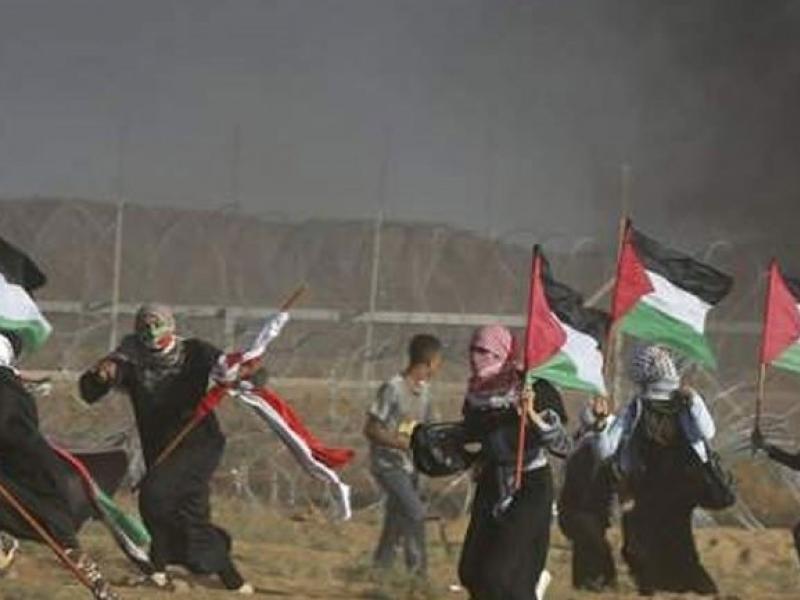 παλαιστίνη λωρίδα της γάζας ισραήλ