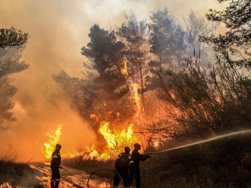 πυρκαγιά φωτιά πυροσβεστική διόνυσος