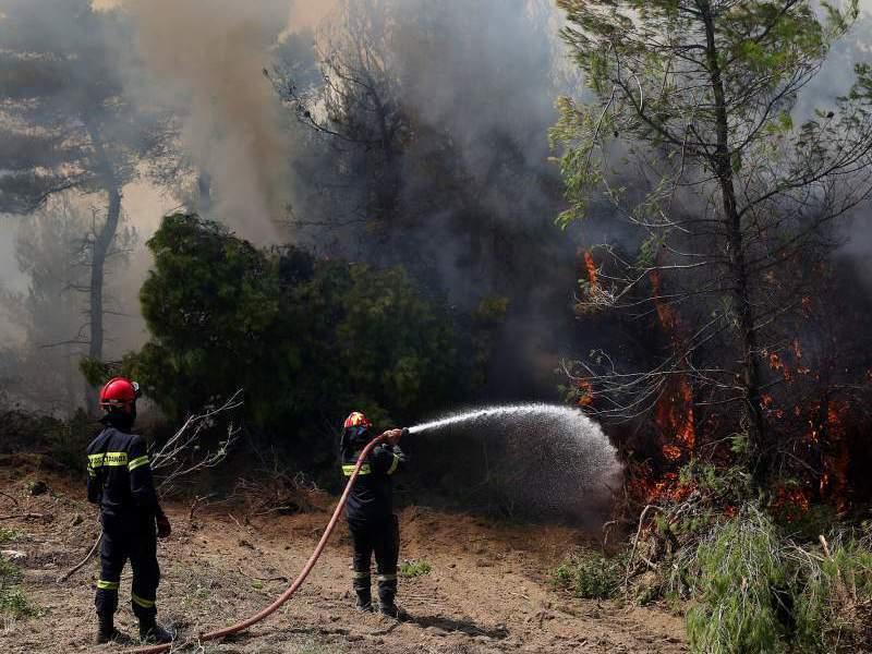 Πυρκαγιά σε δασική έκταση στην Κλειτορία Καλαβρύτων