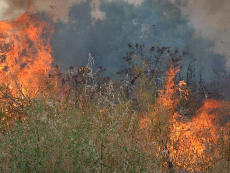 Υπό μερικό έλεγχο η πυρκαγιά στην Εύβοια