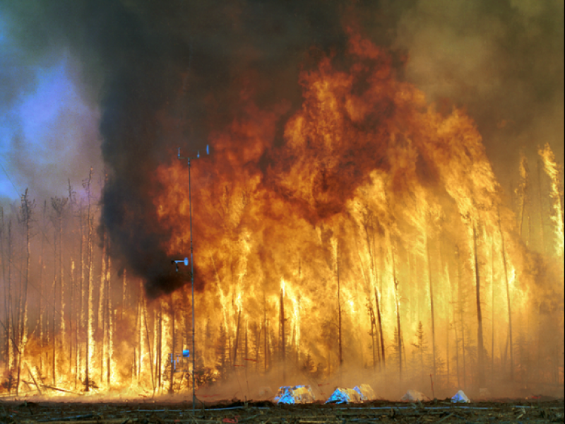 Ο πλανήτης μας φλέγεται: Μεγάλες δασικές πυρκαγιές στην Αυστραλία