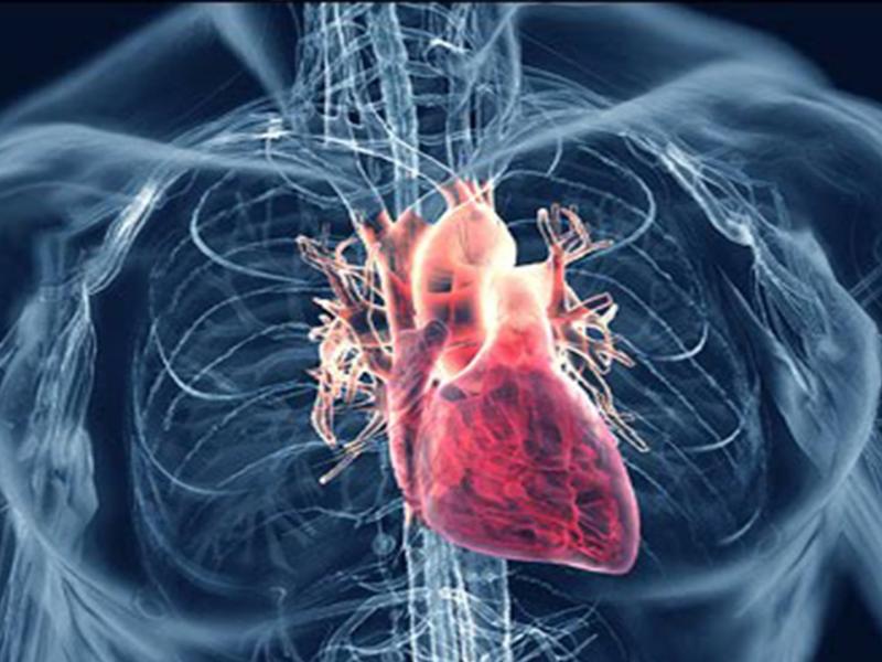 Νέα μελέτη: Έως το 2% των ενηλίκων σε Ευρώπη και ΗΠΑ έχουν καρδιακή ανεπάρκεια