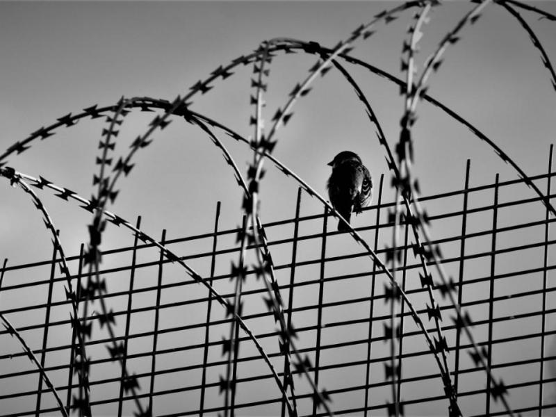 Επιστολή κρατουμένου: «Ξεκινάω απεργία πείνας, διεκδικώ το δικαίωμα στην εκπαίδευση»