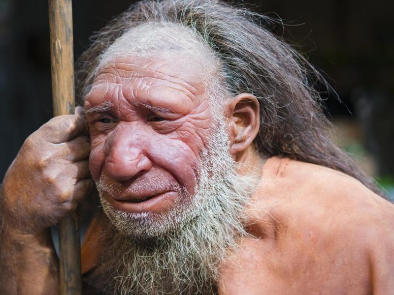 neanderthal