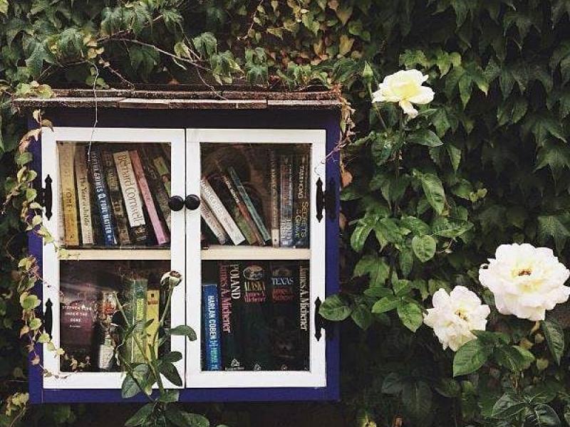 παράθυρο βιβλία φύση πράσινο τριαντάφυλλα