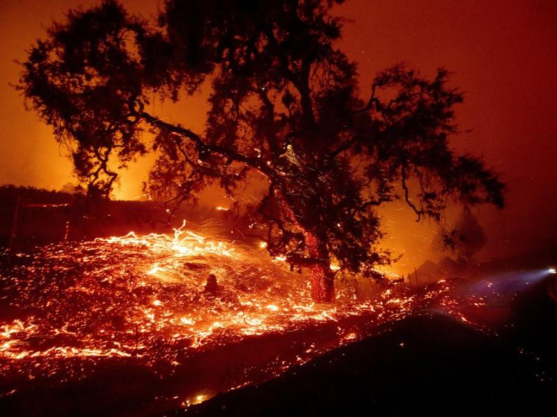 Πυρκαγιές στην Καλιφόρνια: Στάχτη χιλιάδες στρέμματα - Εντολή για εκκένωση εστιών