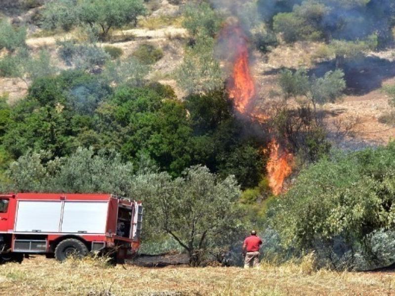 πυρκαγιά Πόρτο Ράφη