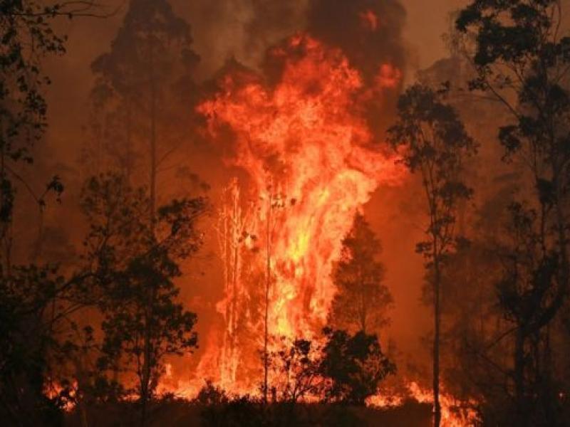 Αποτέλεσμα εικόνας για αυστραλία πυρκαγιές"