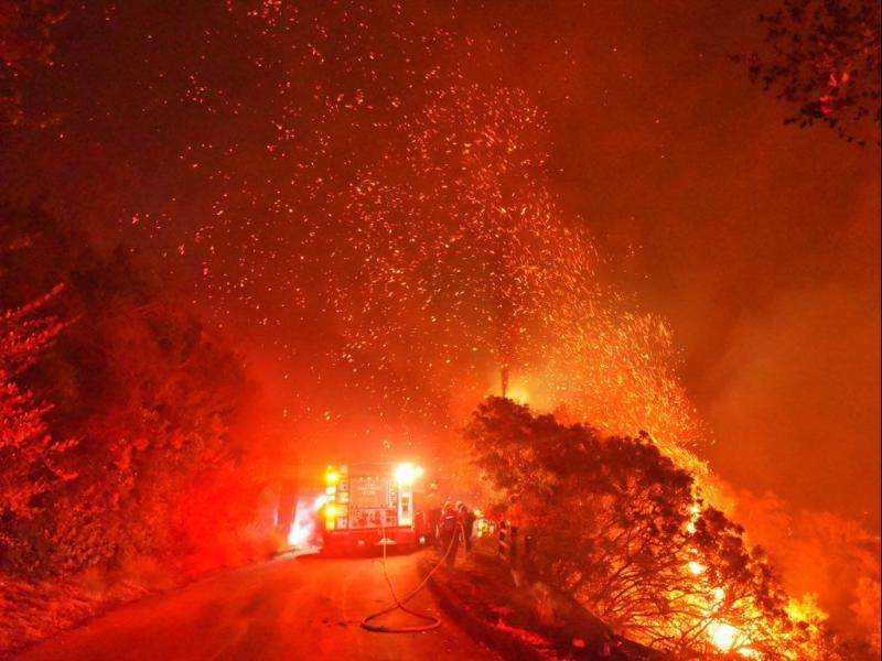 california fotia simera