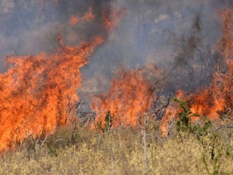 Ηράκλειο: Φωτιά σε χορτολιβαδική έκταση - Πνέουν ισχυροί άνεμοι