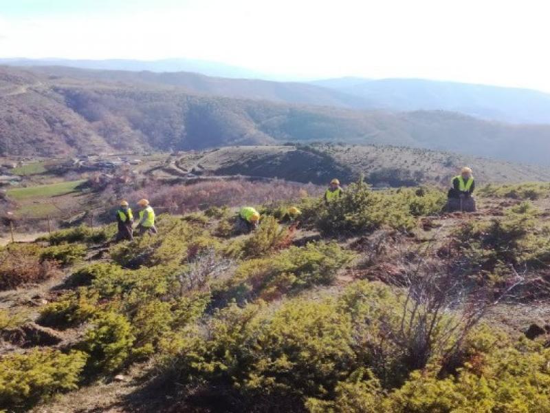 Σχεδόν το 40% των φυτών της Γης ευάλωτα στην κλιματική αλλαγή