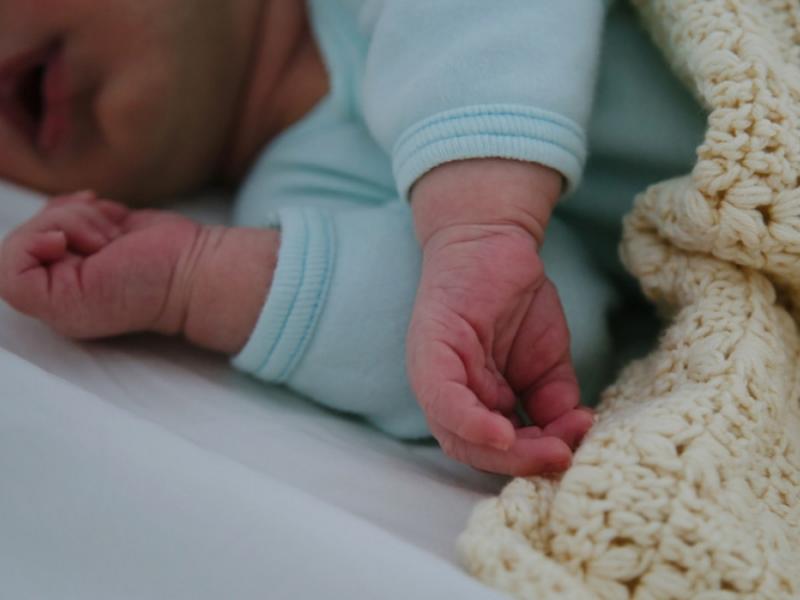 Αμαλιάδα: Τι δείχνουν έως τώρα οι έρευνες της αστυνομίας