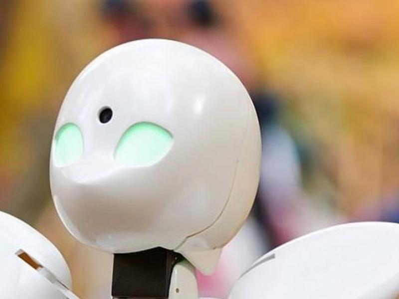 Ιαπωνία: Μαθητές που αρρωσταίνουν παρακολουθούν τα μαθήματα μέσω ρομπότ (Video)