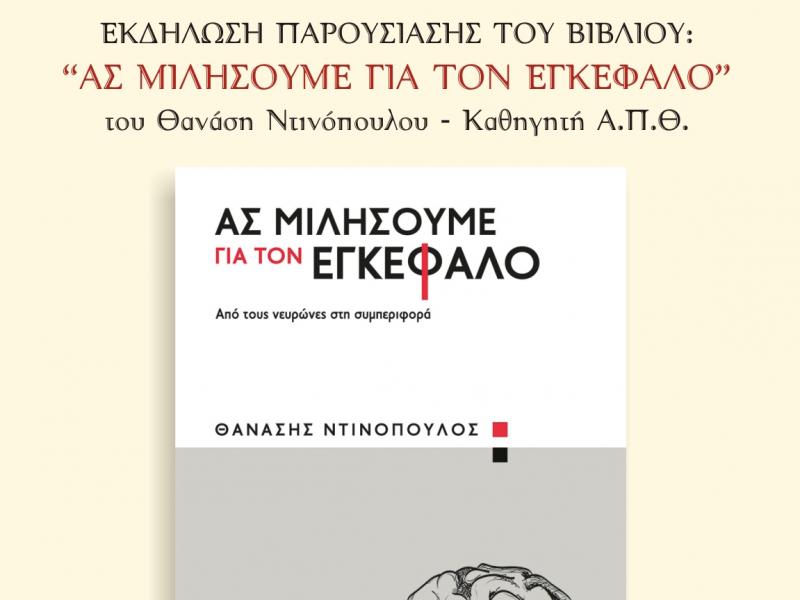 Καθηγητής ΑΠΘ: Υπάρχει «αρσενικός» και «θηλυκός» εγκέφαλος; 