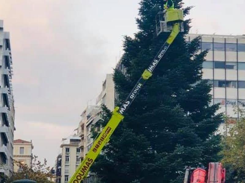 Χριστουγεννιάτικο δέντρο