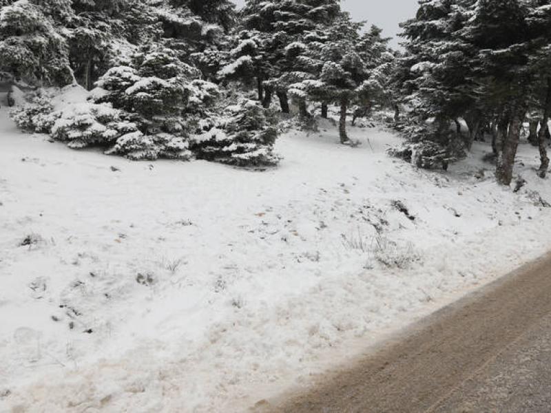 Έπεσαν τα πρώτα χιόνια στην Πάρνηθα