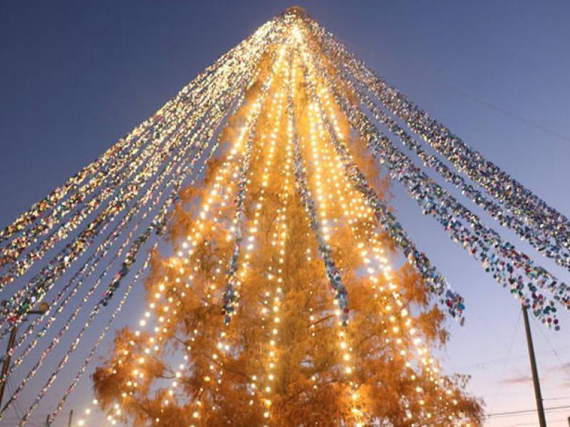Ρεκόρ Γκίνες για χριστουγεννιάτικο δέντρο με 51.626 κάρτες με μηνύματα σε πόλη της Ιαπωνίας