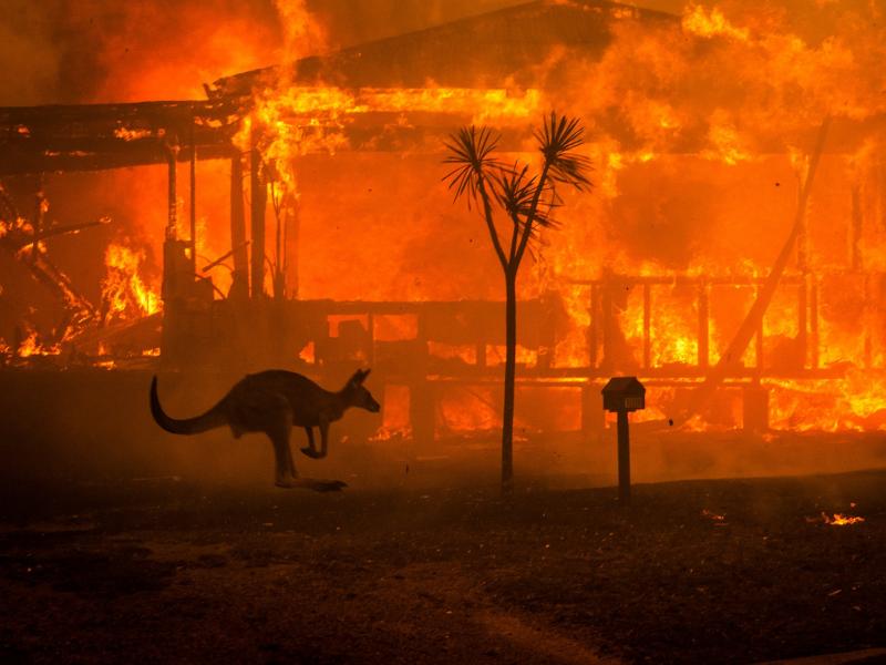 Αυστραλία: Έρχεται νέο κύμα καύσωνα - Μάχη με το χρόνο δίνουν οι πυροσβέστες να θέσουν υπό έλεγχο τις πυρκαγιές 
