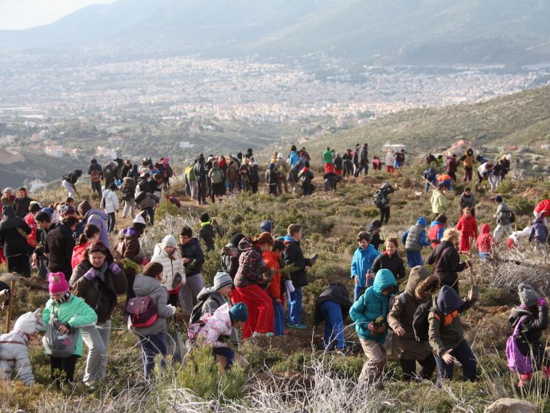 Αναδάσωση στην Πεντέλη από μαθητές της Αττικής