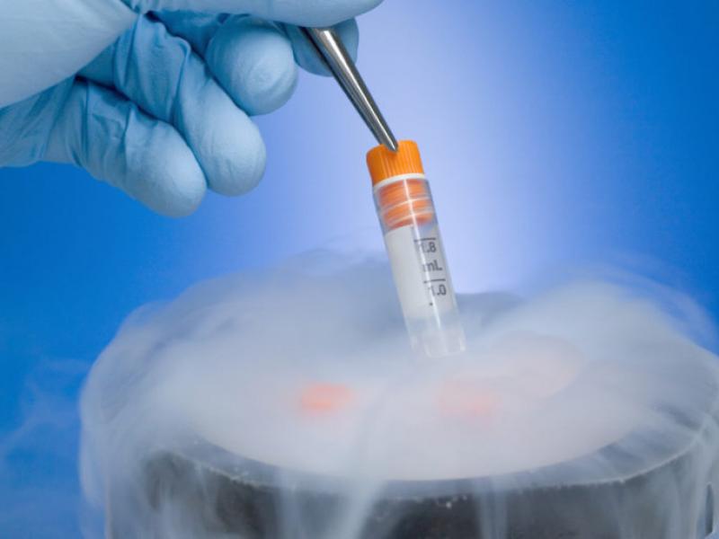 Βιοηθική: Ελεύθερη κρυοσυντήρηση γεννητικού υλικού και τεχνητή γονιμοποίηση προτείνει το ΑΠΘ