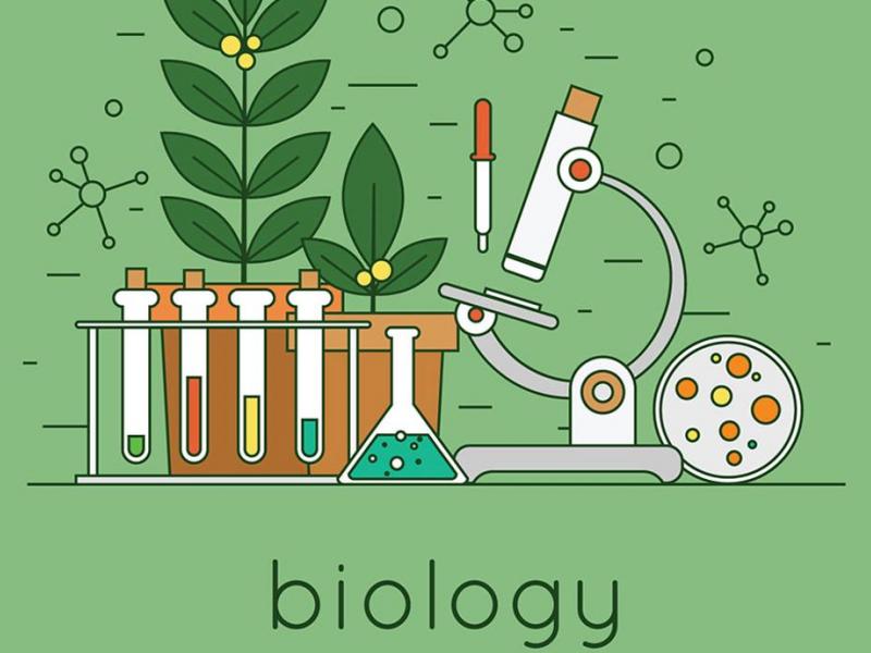 Βιολογία Α', Β' και Γ' Λυκείου: Δωρεάν εκπαιδευτικό υλικό για μαθητές - εκπαιδευτικούς