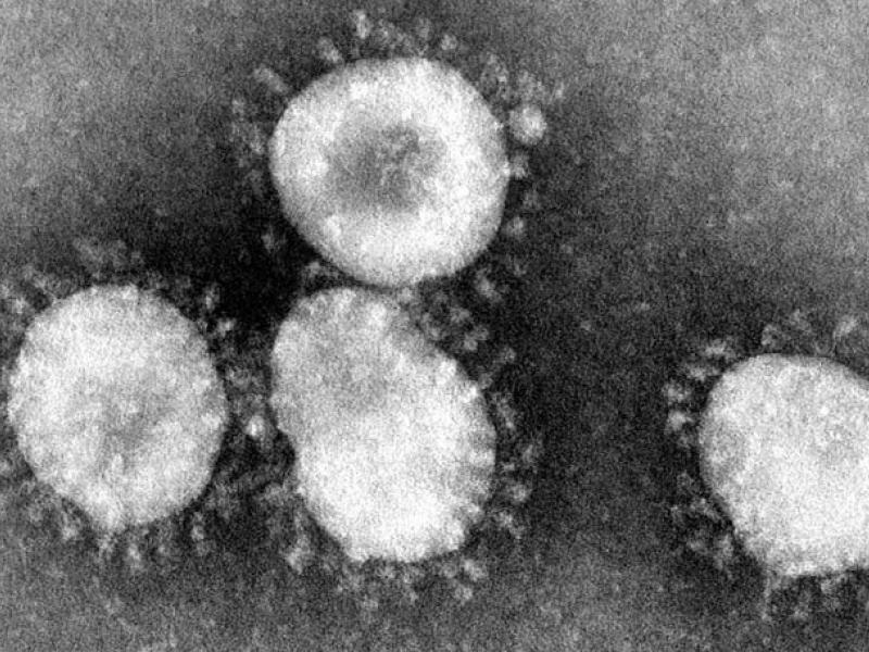 Coronavirus