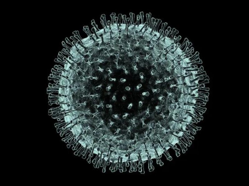 Coronavirus