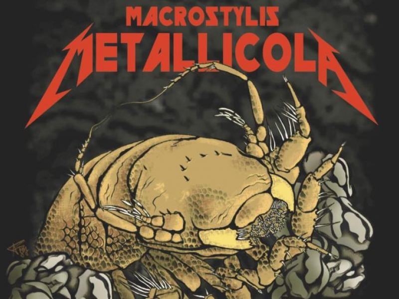 Metallica